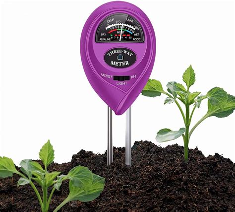 zz plant moisture meter number|how often to water zz.